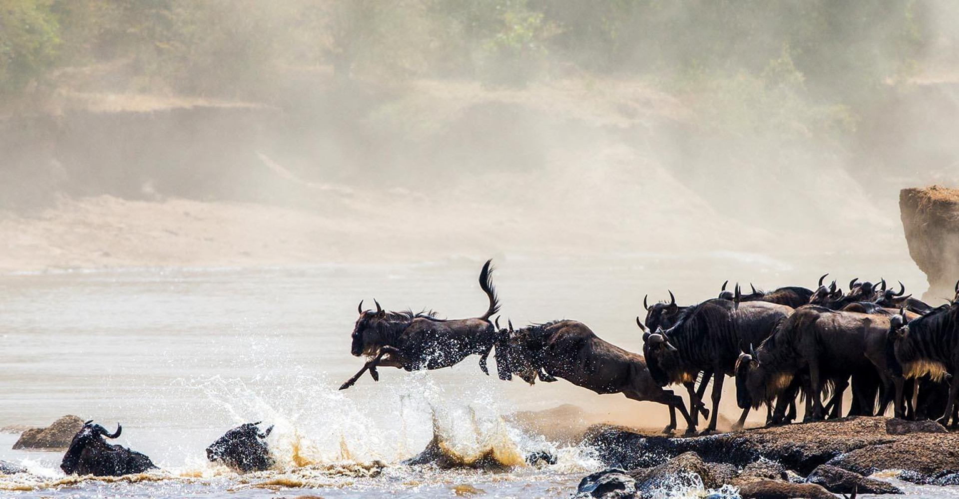 great-wildebeest-migration-mawiko-safari